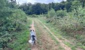 Randonnée Marche Étalle - Etalle - cani-balade - Photo 13