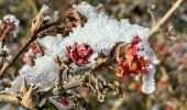 Randonnée Marche Habscht - Eischen - Photo 8