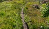 Trail Walking Malmedy - Les fagnes en été - Photo 1