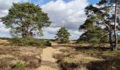 Tour Wandern Maaseik - A la découverte des dunes du Limbourg  - Photo 8