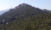 Trail Walking La Valette-du-Var - La Ripelle-24-03-21 - Photo 11
