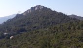 Tour Wandern La Valette-du-Var - La Ripelle-24-03-21 - Photo 11