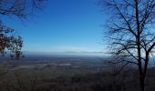 Trail Walking Eguisheim - marbach osenburh schauenberg marbach - Photo 5