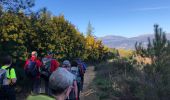 Tour Wandern Tanneron - Massif du Tanneron - Bois de Callian - Photo 3