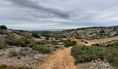 Tocht Stappen Salses-le-Château - salses combes lron - Photo 9