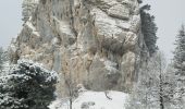 Excursión Raquetas de nieve Corrençon-en-Vercors - depart closde la balme - Photo 9