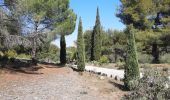 Tour Wandern Tarascon - CR_Domitia_BA_23_Tarascon_St-Remy-Provence_20220404 - Photo 2