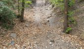 Tour Wandern Taurinya - les mines du Salver - Photo 15