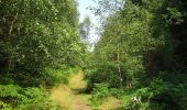 Percorso A piedi East Suffolk - Rendlesham Forest UFO Trail - Photo 10