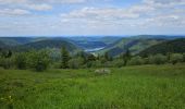 Tocht Stappen Xonrupt-Longemer - 2024 RA Vosges J1 Rando âne sur les crêtes - Photo 7