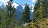 Randonnée Marche Chamonix-Mont-Blanc - TMB8 CAF 24 - Photo 6