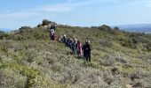 Tour Wandern Aureille - PF-Aureille - La Vallongue d'Aureille - MDu - Photo 12