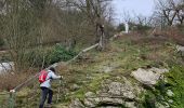 Percorso Marcia Bouillon - Dohan 10 km toer - Photo 6