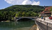 Percorso A piedi Aarburg - Sälischlössli - Aarburg - Photo 9