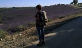 Tour Wandern Valensole - Ravin de la forge et chapelle de la ste Trinité  - Photo 6