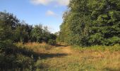 Excursión Senderismo Haramont - en forêt de Retz_84_la Laie du Petit Bois d'Haramont - Photo 17