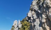 Trail Walking Toudon - FFR - la Cime des Colettes  - Photo 7