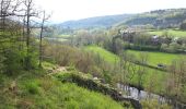 Tour Wandern Hotton - Melreux (Hotton) - Photo 4