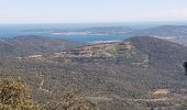 Trail Walking La Garde-Freinet - LA GARDE FREINET - PATRIMOINE DES MOULINS ET CHAPELLES - Photo 7