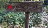 Trail Walking Bouconville-Vauclair - émouvant Chemin des Dames - Photo 6