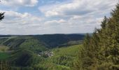Excursión Senderismo La Roche-en-Ardenne - samrée - Photo 2
