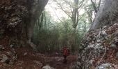 Tour Wandern Châtelus - la grotte des Gaulois, le pas de l' Echarasson, porte du diable, pas de charmate - Photo 3