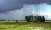 Tour Zu Fuß Hoeksche Waard - Blauwe wandelroute - Photo 8