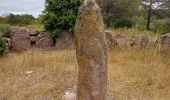 Randonnée Marche Saint-Raphaël - Menhir de Peyronne - Menhir des Veyssieres  par les Ferrières - Photo 9