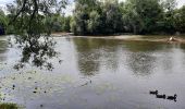 Tour Wandern Bouillon - GR 14 CORBION-SEDAN - Photo 1