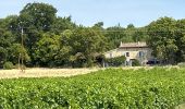 Trail Horseback riding Céreste - Provence 2025 J3 - Photo 20