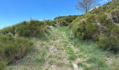 Trail Walking Loubaresse - Loubaresse Nord 5,2 km - Photo 5