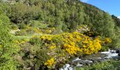 Trail On foot Unknown - Andorre : Parc de Sorteny - Photo 10