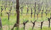 Trail Walking Beaulieu-sur-Dordogne - Fred BC Brivezac  - Photo 2