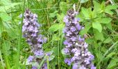 Tour Wandern Theys - PETITE BALADE A PIPAY - Photo 4