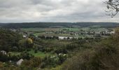 Randonnée Marche Anhée - Boucle Anhée - poilvache - les roches yvoir - Photo 6