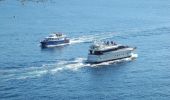 Tocht Stappen Cassis -  3 Calanques 8/01/25 - Photo 3