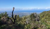 Trail Walking Entre-Deux - Entre-Deux - Sentier Inard (boucle) - Photo 12