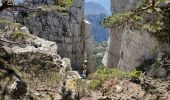 Trail Walking Castellane - Chasteuil (04) ; Cadières de Brandis - Photo 12