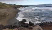 Tocht Stappen Saint-Leu - St Leu - Etang-Salé par le littoral  - Photo 4