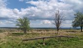 Trail Walking Waimes - baraque michel - botrange via fagne de polleur, retour via fagne wallonne  - Photo 11