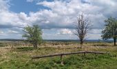 Randonnée Marche Waimes - baraque michel - botrange via fagne de polleur, retour via fagne wallonne  - Photo 11