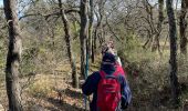 Tour Wandern Vernègues - PF-Vernègues - Boucle dans le passé antique de Vernègues - Photo 2