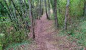 Trail Walking Vernaux - Vernaux par unac - Photo 3