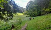 Percorso Marcia Jougne - Le suchet - Photo 7