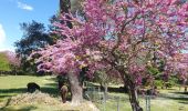 Excursión Senderismo Le Revest-les-Eaux - 2023-04-17-le Revest 15 personnes  - Photo 5