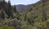 Trail Walking Blandas - Cirque de Navacelles par Blandas et le moulin du Foux  - Photo 8