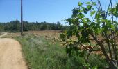 Trail Walking Luc-sur-Orbieu - LUC SUR ORBIEU - la Roche trouée - Photo 4