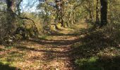 Excursión Senderismo Loubressac - Laguizayrie - Photo 5