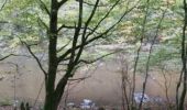 Tour Nordic Walking Herbeumont - herbeumont - Photo 4