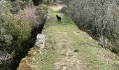 Trail Walking Buoux - PF-Buoux - Sivergues - Le Vallon de l'Aigue Brun - Reco - 25.03.2024 - Photo 19